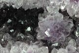 Wide, Purple Amethyst Geode - Uruguay #123776-1